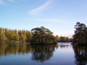 Eau Miroir