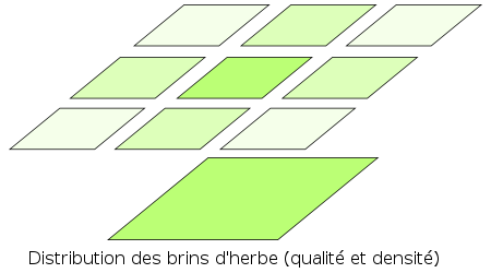 Distribution de la qualité et de la quantité des brins sur le champ